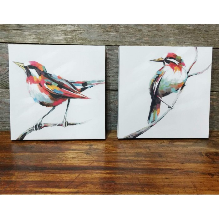 Deux cadres oiseaux multicolores